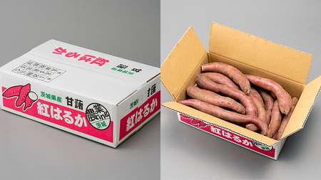 訳あり さつまいも 5kg 小さめ 無選別 （茨城県共通返礼品：行方市） 茨城県 行方市 サツマイモ さつま芋 お徳用