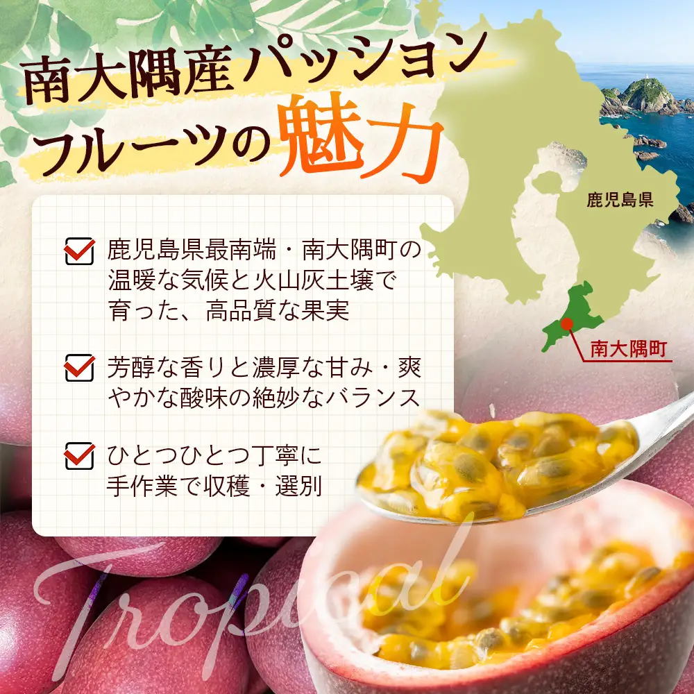 【今が旬！】贈答用パッションフルーツ1kg （約11個） 濱田農園 HB-706 ｜産地直送 新鮮 パッション フルーツ 南大隅町 果物 果実 ギフト プレゼント濱田農園 贈答用 人気 南国フルーツ 鹿児島県 南大隅町 hello! brand new days