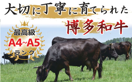 【全3回定期便】【和牛の旨味を堪能！】博多和牛焼肉用 500g 牛肉 BBQ [ABBP033] 