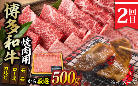 【3回定期便】博多和牛 贅沢定期便 [ABBP115] 