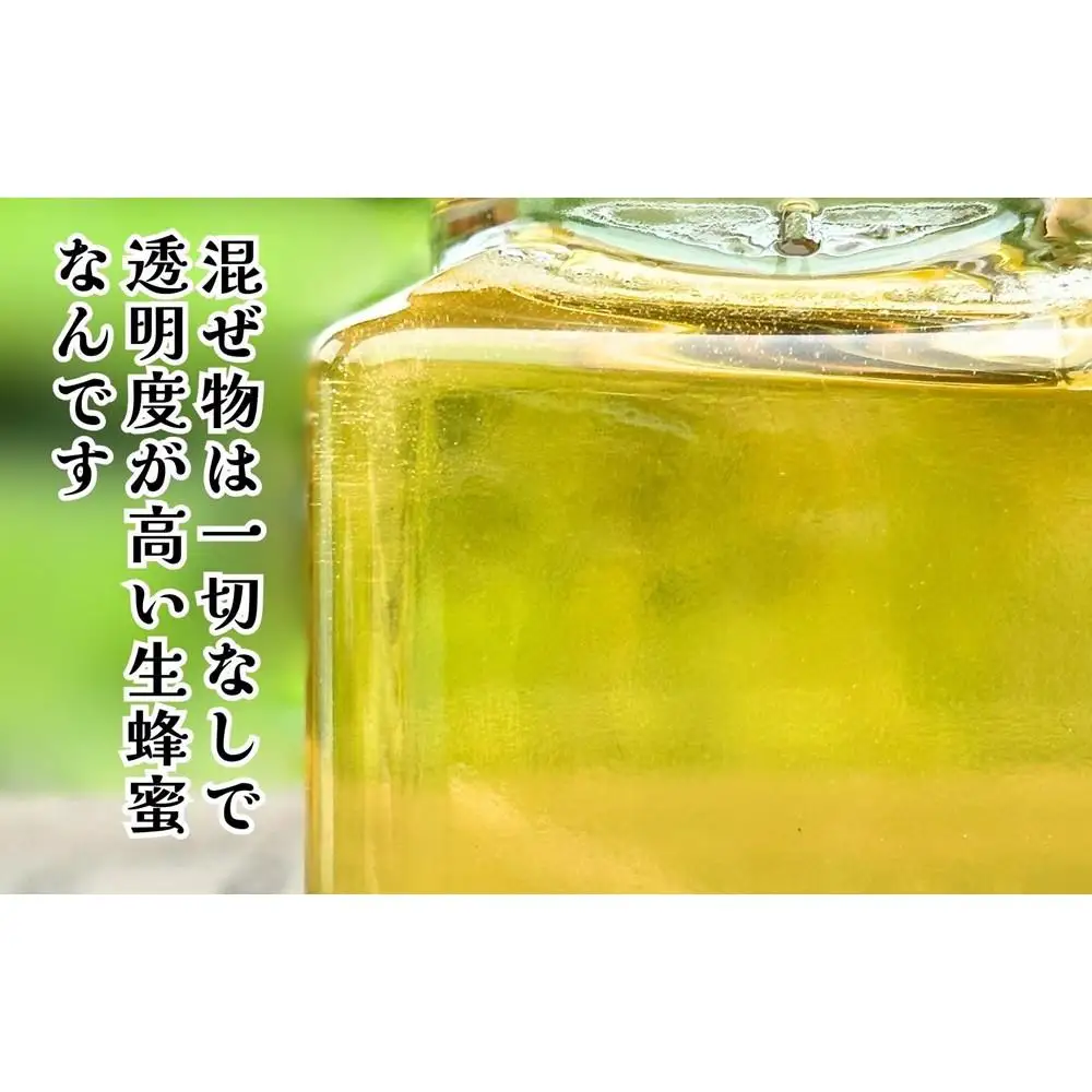 はちみつ 有田のはちみつセット （みかん蜂蜜210g 百花蜜蜂蜜210g 各1本） 和歌山県産 産地直送 【みかんの会】