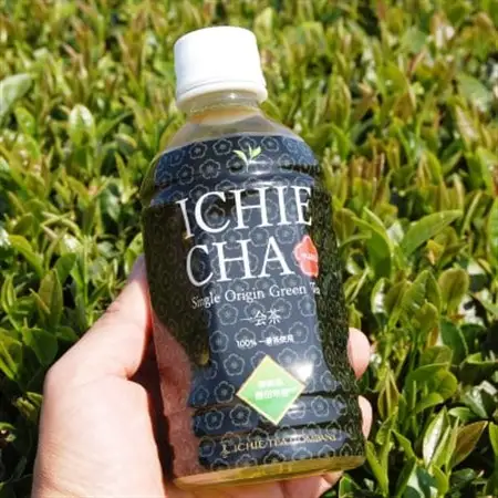 高級煎茶　ICHIE　CHA 24本入り　シングルオリジンペットボトル高級緑茶　静岡磐田市産_飲料・ドリンク 飲料 茶 _【1419410】