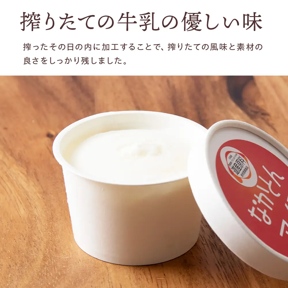 アイス セット アイスクリーム 10個