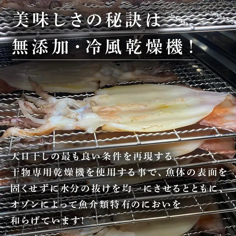 イカ 干物 5枚 セット ソフト 干し ふっくら 冷凍保存 調味料 保存料 無添加 海人 漁師 いか トビイカ ひもの 美味しい 冷凍 お酒 の おつまみ おかず いか焼き 炙り 焼き 海鮮 料理 沖縄 沖縄県 糸満市