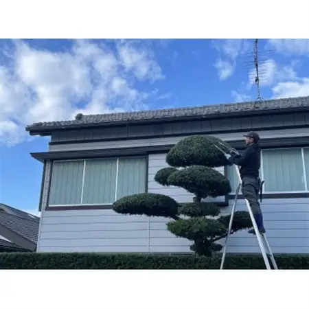 【磐田市限定】お庭のお手入れ_庭 手入れ お手入れ 庭木 にわ 庭師 剪定 庭木 草刈り 草取り 草むしり 樹木 代行 作業 除草作業 農地 空き家 休耕田 田畑 クーポン券 静岡県 磐田市 限定 磐田市限定 実家 送料無料_【1418437】