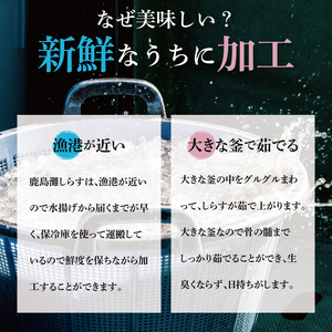 鹿島灘 釜揚げしらす「常陸乃国しらす」(3箱) 300g×3箱 合計900g【新鮮 新ブランド 最高級品 塩分控えめ おかず カルシウム ビタミンD 冷凍 茨城県 鹿嶋市】（KB-4）