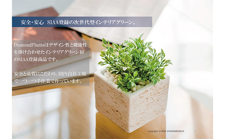次世代型インテリアグリーン　DiamondPlants　Short【リビング 寝室】 ナノダイヤモンド 触媒 コーティングして 抗菌 抗ウィルス 消臭 防カビ 抗酸化作用 植物  シダ・ブラック鉢