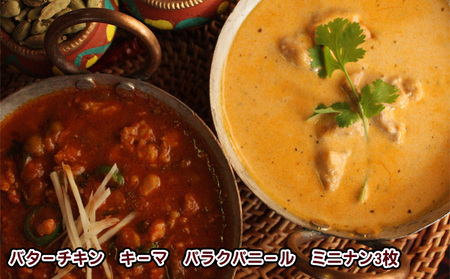 印度料理シタール 3カレーセット【カレー 詰め合わせ 加工食品 レトルト食品 惣菜 レトルト 簡単調理 】 冷凍 インドカレー バターチキンカレー マイルド スパイシー 辛口 キーマカレー ほうれん草とチーズのカレー 中辛 ミニナン 