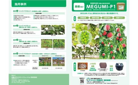 メグミ1L【 土着菌 微生物 活性化 回復 玉張り 収量アップ 自然栽培 有機栽培 土壌改良 家庭菜園 植物 栄養 】 