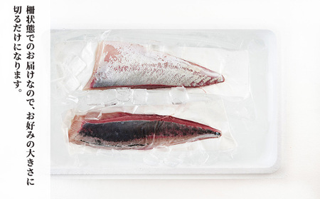 千葉市場直送　朝一活〆！ブリ半身分（スキンレスロイン） 魚貝類 冷蔵 柵 新鮮 刺身 養殖ブリ ぶりしゃぶ 鮮度抜群 脂の旨味 つまみ 肴 