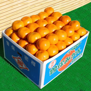 完熟厳選の曽保みかん約5kg FAH-0139