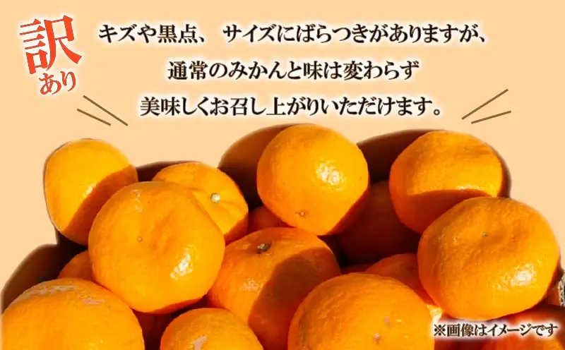 訳あり 寿太郎みかん 約5kg みかん