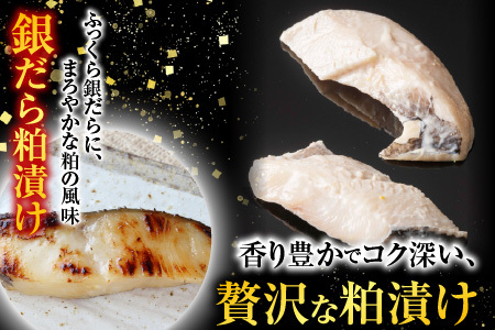 銀だら粕漬け・西京漬けセット(1切約110g×各8P) B-11091