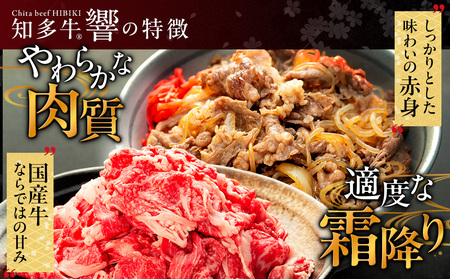牛肉 切り落とし 400g×2P 800g (4人前) 冷凍 知多牛 響 牛肉 厚切り BBQ キャンプ ご飯のお供 牛丼 ステーキ