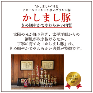 【6ヵ月定期便】 豚肉 かしまし豚 4種の詰め合わせ×6回 国産 豚肉
