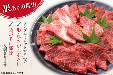 訳あり 博多和牛 A4～A5 切り落とし 焼肉 (肩ロース or バラ）500g 化粧箱 / MEAT PLUS / 福岡県 筑紫野市 [21760469]