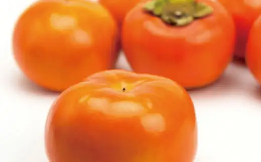 【数量限定】【秋の美味】【和歌山ブランド】 濃厚! 富有柿 秀品 　L～3Lサイズ 約7.5kg / 柿 フルーツ 果物 ※2026年11月中旬～12月上旬頃順次発送予定 ※沖縄・その他離島への配送不可 【ard504-rl-huyu-7d5A】