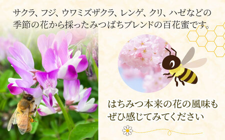 【先行予約】生はちみつ 200g×2本 【プラボトル】 ※26年6月以降順次発送予定 / 国産 天然 はちみつ ハチミツ 蜂蜜 ハチミツ 純粋はちみつ 蜂蜜 百花 非加熱 国産 ギフト 贈答用 プレゼント レモン 紅茶 梅干し 富山県 滑川市 ハニー 人気 おすすめ [A-033002]