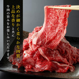 宮崎県産黒毛和牛切り落とし600g 肉 牛肉 牛 宮崎牛 牛 炒め物 牛 2パック 日本ハム 牛