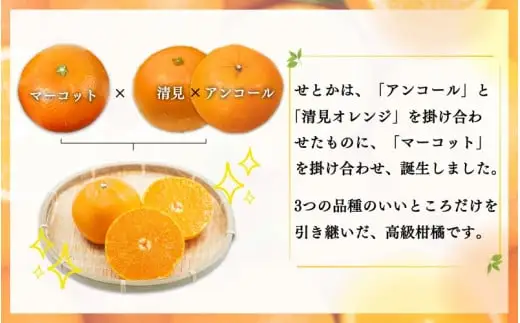  とろける食感！ジューシー 柑橘 せとか 3kg【予約】 / 果物 フルーツ 和歌山 有田 みかん ※2027年2月下旬頃〜3月中旬頃発送(お届け日指定不可) ※離島への配送不可 【uot506A】