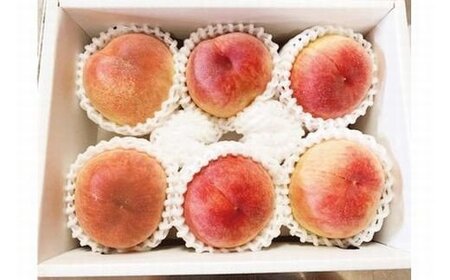 【先行予約】紀州和歌山産の桃　約1.8kg　化粧箱入 ※2026年6月下旬頃〜2026年8月上旬頃順次発送（お届け日指定不可） / もも モモ 桃 ギフト 贈り物 プレゼント 夏ギフト 果物 フルーツ 人気 産地直送 和歌山県 お取り寄せ 【uot720-2】