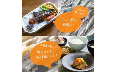  【ご家庭用】大容量！塩さばフィレ3.5kg　鯖 サバ 切身  / さば 塩さば 冷凍 塩鯖 鯖 サバ 塩サバ 切り身 おかず 人気 【uot749C】