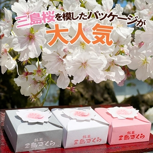 【三島銘菓】 三島ざくら 三種詰め合わせ （ 黒糖餡 / 栗餡 / しそ餡 ）12個セット 和菓子 お菓子 さくら 桜 饅頭 スイーツ お祝い ご挨拶 ギフト 詰め合わせ 餡 お茶 菓子