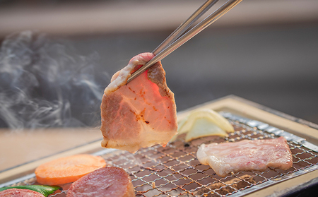 バーベキュー セット もちぶたを堪能できる 手ぶらバーベキュー 2名様分 選べるA・Bコース 食事券 体験チケット チケット もちぶた 和豚 もち豚 豚肉 ポーク お肉 肉 豚 精肉 焼き肉 焼肉 アウトドア スペシャルキャンペーン  バーべキューA 