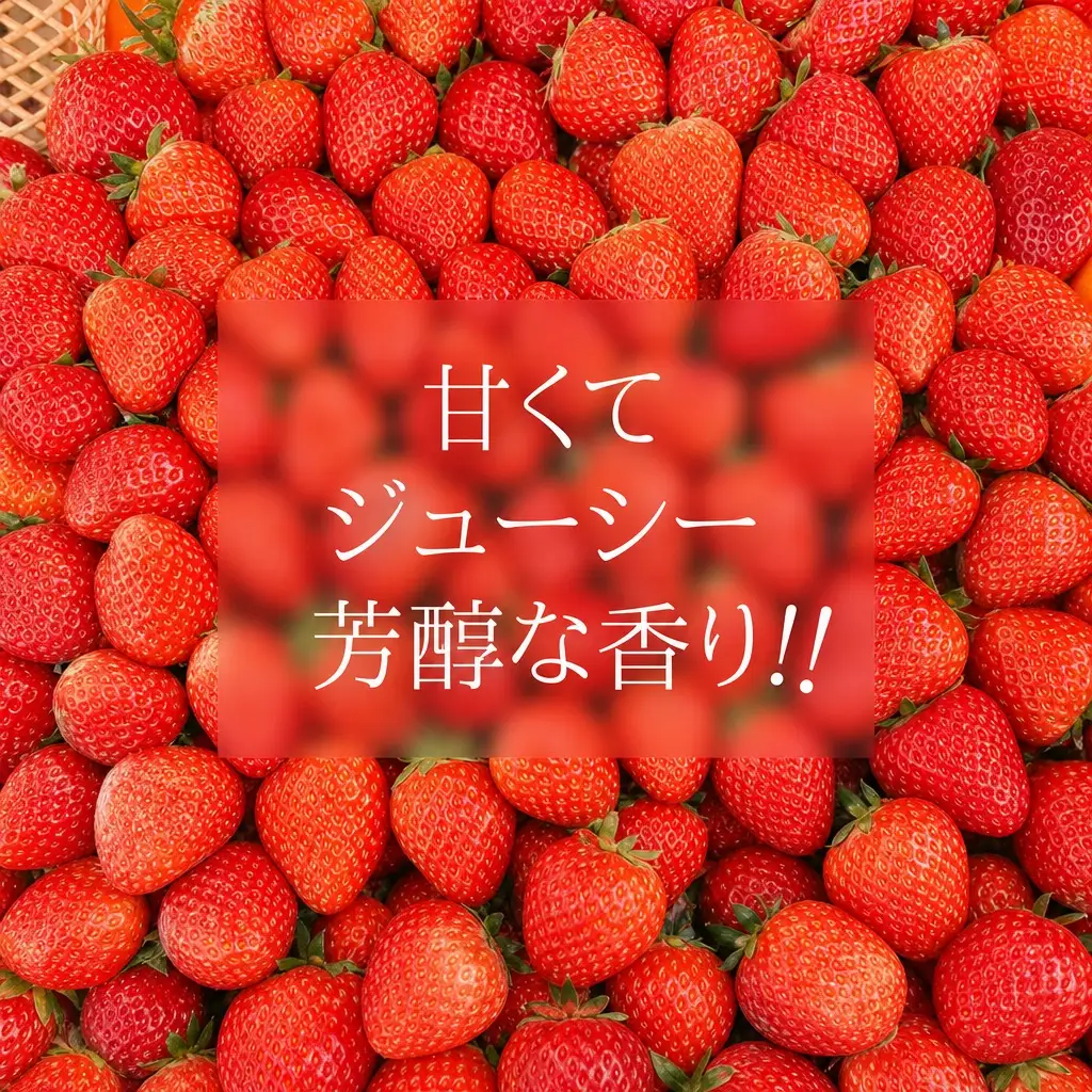 【先行予約】《期間限定》ペチカほのか 300g（12～24粒）2パック【令和8年7月下旬以降発送予定】 いちご イチゴ 18-06