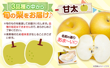 梨 なし 荒尾梨 約1.8～2kg 果物 和梨 村上果樹園 あきづき 甘太 秋麗 【品種の指定不可】 《8月上旬-9月末頃出荷》熊本県 荒尾市 2kg 前後 果物 フルーツ 旬 荒尾市産 国産 冷蔵 ギフト 贈り物 お中元 送料無料 美味しい梨 旬の梨 ジューシー梨 フルーツ梨