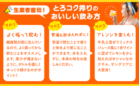 観音山みかんジュース「とろコク搾り」720ml×3本入 有限会社柑香園 《30日以内に出荷予定(土日祝除く)》和歌山県 紀の川市 フルーツ 果物 柑橘 添加物不使用 100%ストレートジュース