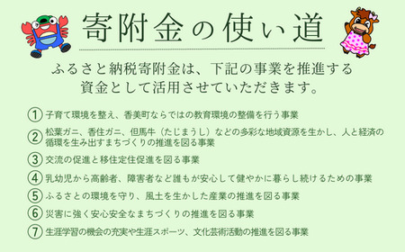 【返礼品なし】兵庫県 ふるさとづくり寄附金（20,000円分）20000 20000円 二万円 25-44