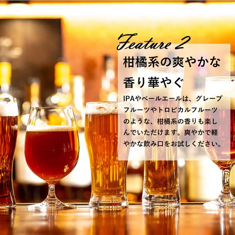 K1121 さかい河岸ブルワリー 境町産クラフト地ビール12本セット