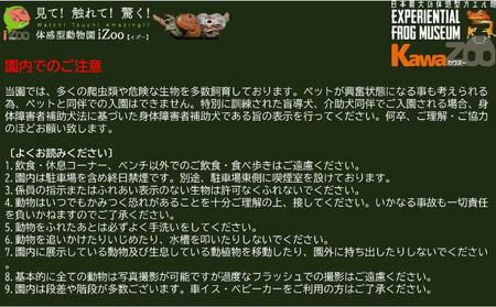 動物園 イズー カワズー 大人 2枚 子供 1枚 入園券 体験 体験型 チケット ギフト券