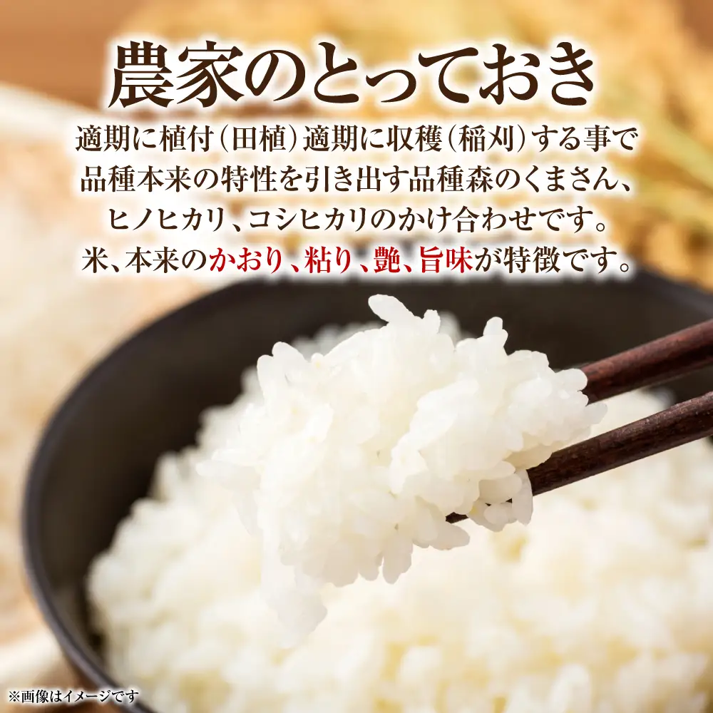 【令和7年産】 熊本県八代市産 森のくまさん 農家のとっておき 3kg×2袋 米 お米 精米  国産 白米 ごはん ご飯