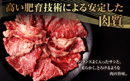 熊本県産黒毛和牛 焼肉 カルビ 切り落とし 約600g(300g×2パック) 牛肉 肉