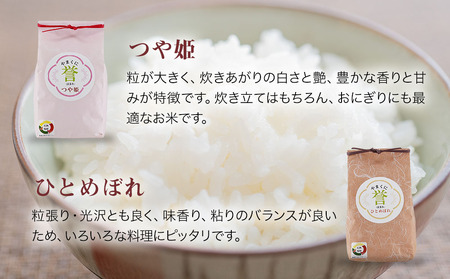 【寄附使途限定】九州米・食味コンクール最優秀賞受賞 大分県中津産やまくに誉 4品種食べ比べセット 450g×4袋 合計1.8kg | つや姫 ひとめぼれ なつほのか ひのひかり ブランド米 お米 米 おこめ こめ 精米 白米 4品種 食べ比べ セット ご飯 九州産 国産 大分県 中津市