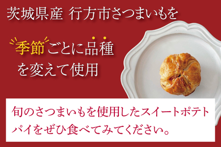 EX-1 スイートポテトパイ