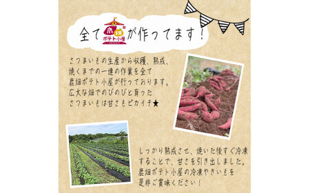 鹿畑ポテト小屋の冷凍焼き芋 1kg 【熟成 貯蔵 贈り物 冷やし焼き芋 冷やし焼きいも 焼芋 焼き芋 焼きいも やきいも さつまいも 紅はるか スイーツ 鹿嶋市 茨城県】（KBR-16）