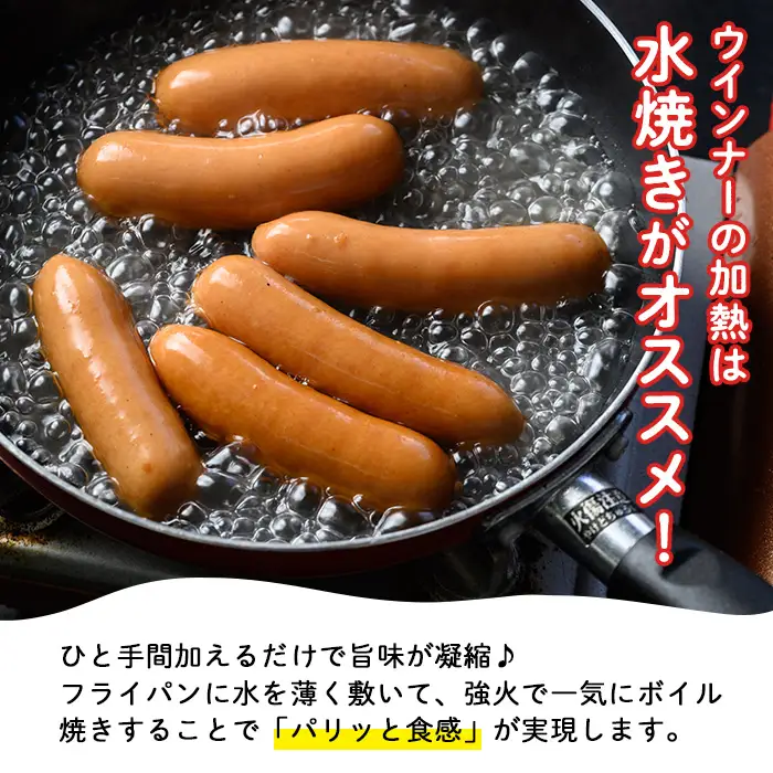 大粒 ウインナー 詰合せ 約1.9kg ウインナー 【00-008-17】