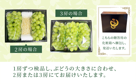 先行予約 あづましずく 約1kg ぶどう 果物 フルーツ 福島県 田村市 