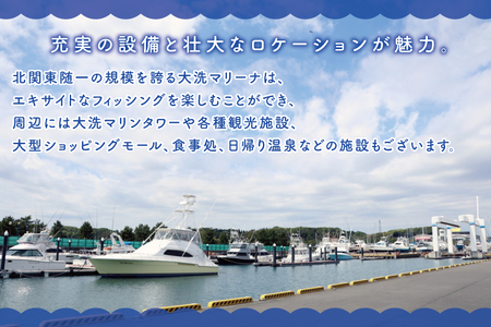 大洗マリーナ 利用券（30万円分） 施設利用 チケット 利用券 係留料 艇置料 レジャー 体験 観光 旅行 釣り フィッシング 大洗町 大洗_DH002