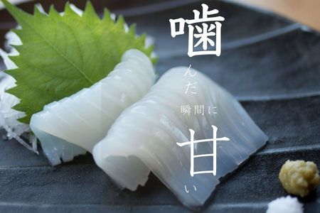 【高級白いか丸ごと 130g×3杯セット】ぷりぷり甘い高級白いかを朝どれ鮮度でお送りします! いか イカ 白いか ケンサキイカ 刺身 CAS CAS冷凍 父の日 母の日 バーベキュー ギフト