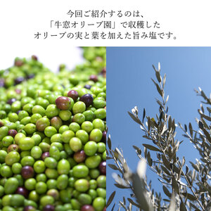 赤屋根オリーブの実と葉入り旨み塩2本セット 調味料 塩