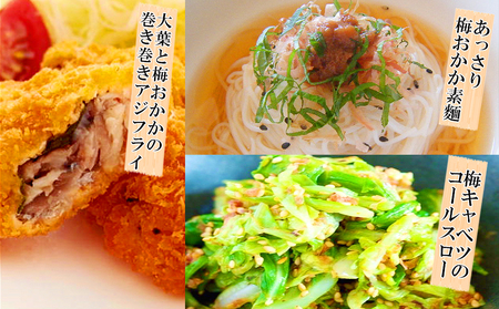 南高梅 梅おかか 240g×2袋 [春夏秋冬いっつもや 宮崎県 美郷町 31ab0102]