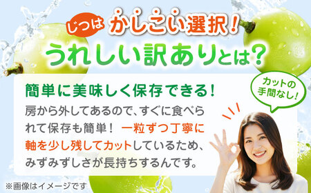 【先行予約】 訳あり シャインマスカット 切り落とし 約1kg  【合同会社 社方園】切り落とし ぶどう フルーツ 熊本県産 国産シャインマスカット [ZBZ006]