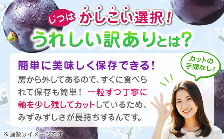【先行予約】 訳あり ピオーネ ぶどう 切り落とし 約1kg  【合同会社 社方園】ピオーネ切り落とし 1kg ぶどう 季節限定 葡萄 [ZBZ007]