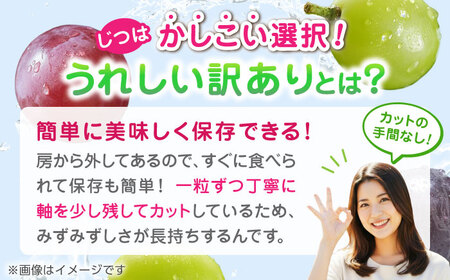 【先行予約】 訳あり ぶどう3種 食べ比べ 切り落とし 計約1kg  【合同会社 社方園】ぶどう詰め合わせ  セット 熊本 シャインマスカット ピオーネ クイーンニーナ [ZBZ009]