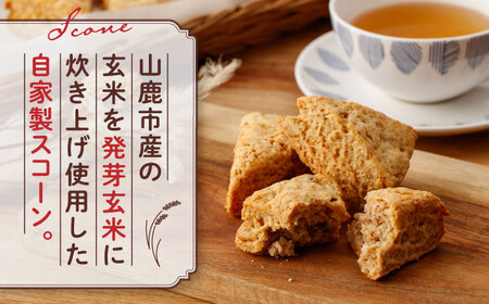 【全12回定期便】有機発芽玄米甘麹とくるみのスコーン【BANBA BON BONS】スコーン 有機発芽玄米 [ZDW004]