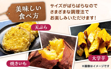 紅はるかorシルクスイート蜜芋10kg サツマイモさつまいも国産 ZCN001